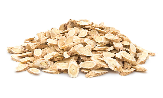 Radix Astragali stacked up.jpg