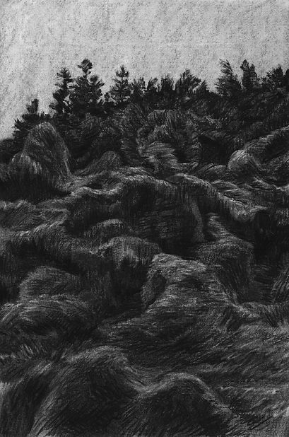 예래동 곶자왈, 종이에 목탄, 45.7x30cm, 2019