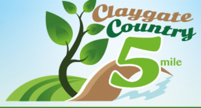 cc5 run logo.GIF