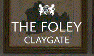 The Foley.GIF