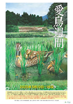s-令和5年度 愛鳥週間用ポスター_edited.jpg