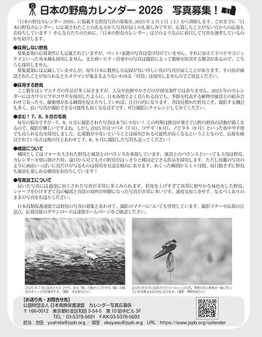 私たちの自然2025_1-2月-P17日本の野鳥カレンダー2026 写真募集!_page-0001.jpg