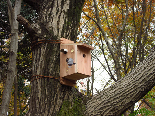 2つ穴巣箱～スズメ・カラ類用～ | 公益財団法人 日本鳥類保護連盟
