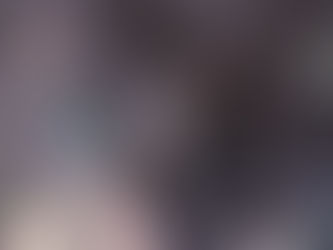 擬態をする生きもの