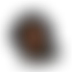 First Lady's Woman to woman insights