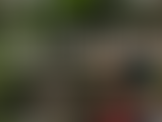 Botanical Blues Winter Concert Series