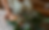 Screenshot 2023-11-24 at 2.59.19 pm.png