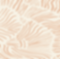 Tiger Pattern.png