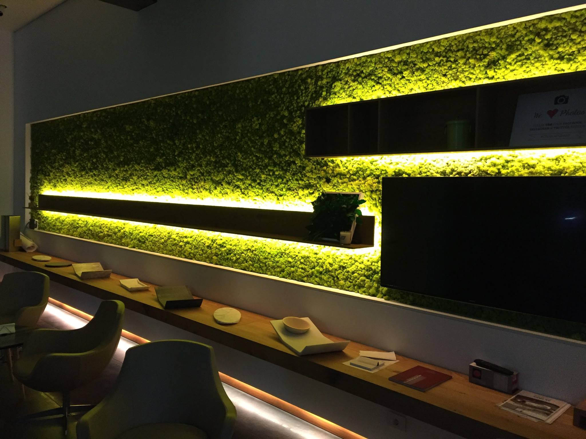 Mosswall by Verde Profilo