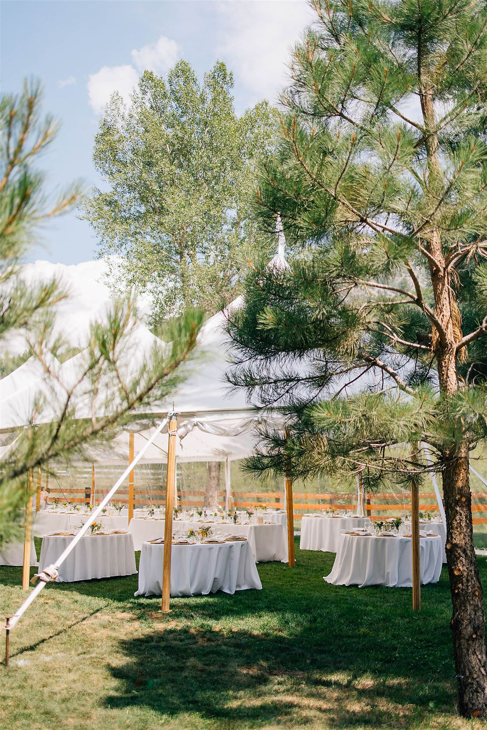 Mindy Stratton Photography