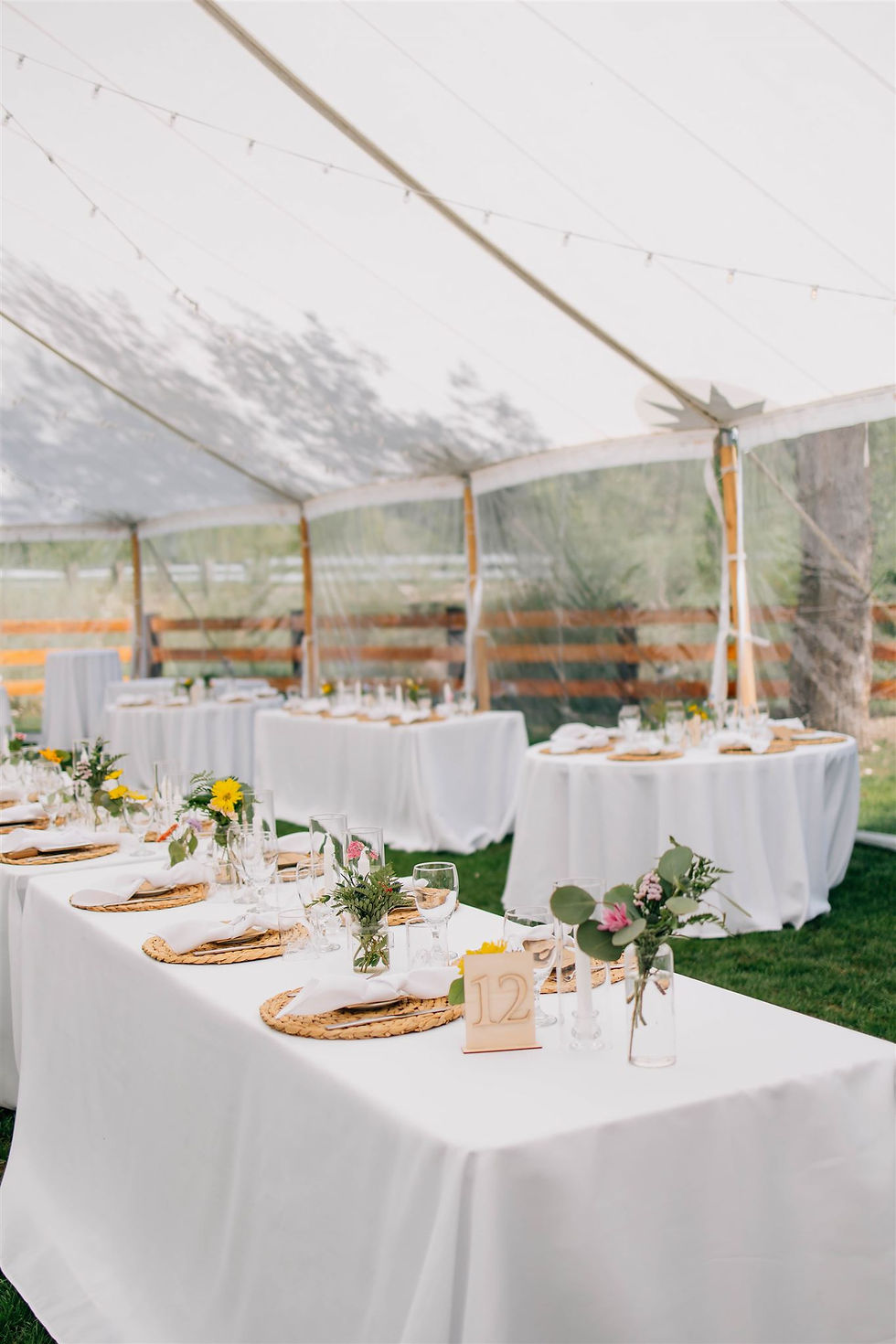 Mindy Stratton Photography