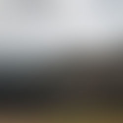 'AI' Do! The Secret Planning Tool Every Bride Needs