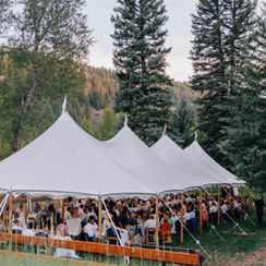 What It Really Takes to Host a Beautiful Backyard Wedding