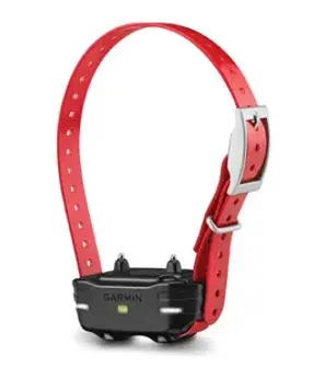 cf-lg.webp