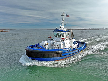 SIGNET SIRIUS - Specification Sheet_Page_1_Image_0001.jpg