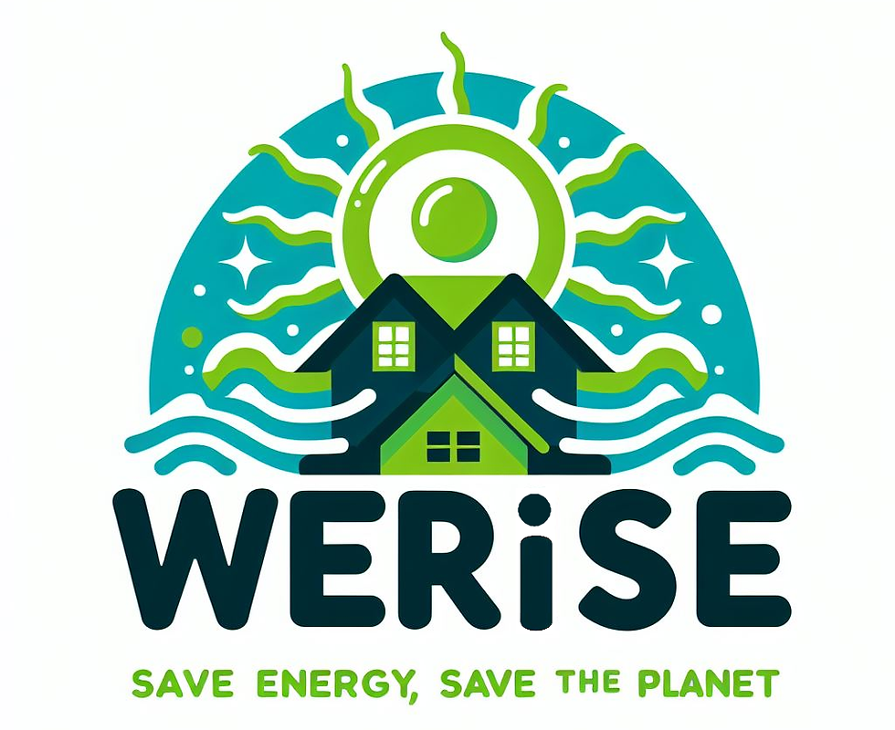 WERiSE Logo 1.png