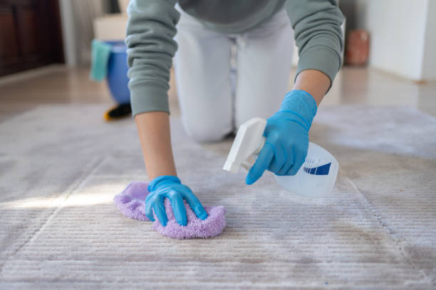 Step-by-Step Guide to Removing Stains from Carpets in Long Beach, CA