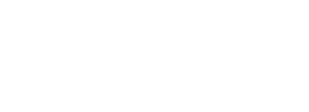 Untitled design (4).png