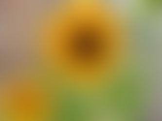 もう夏が近づいてきた