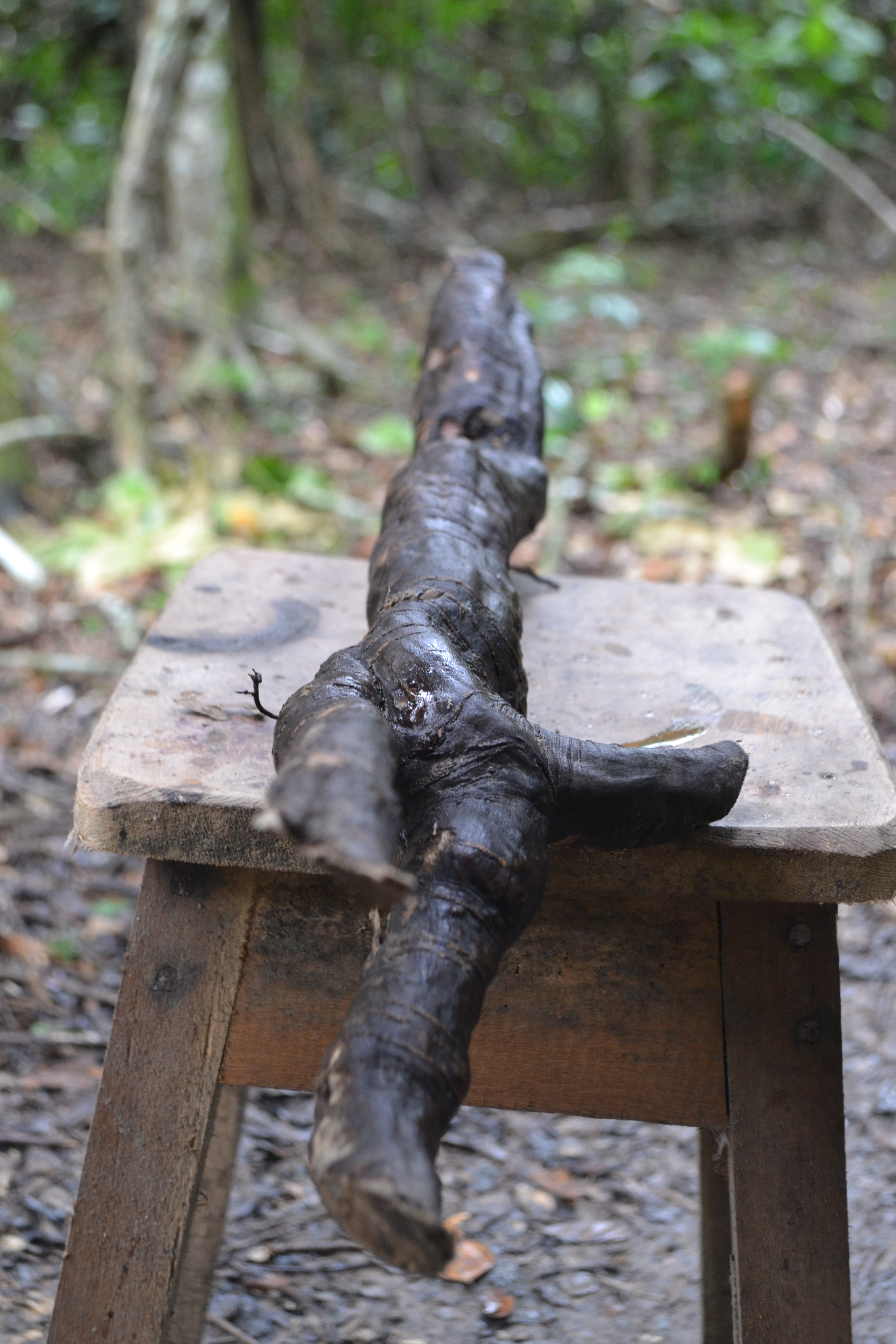 Achunisanango