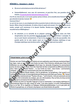 Capture d'écran 2024-09-01 191111.png
