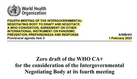 WHO treaty draft - Feb 2023.jpg