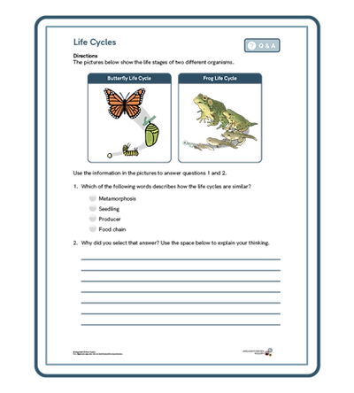 Untitled design (59).png