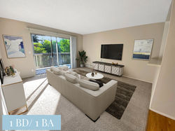 Living Room_After_edited