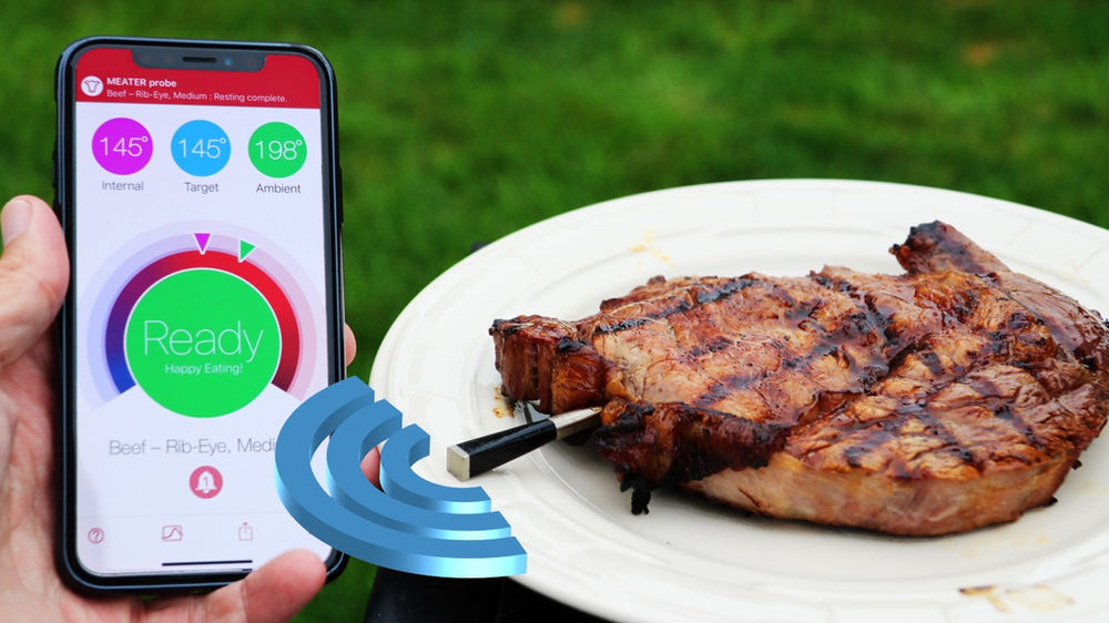 MEATER Review 1 Food Cooking Hack & Gadget