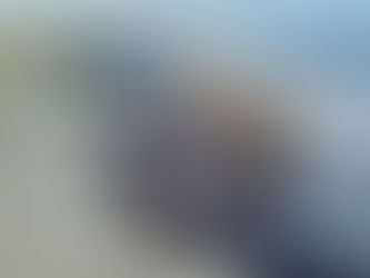 Zustand und Bedeutung der Ozeane