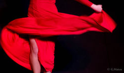 Compas Dance Company