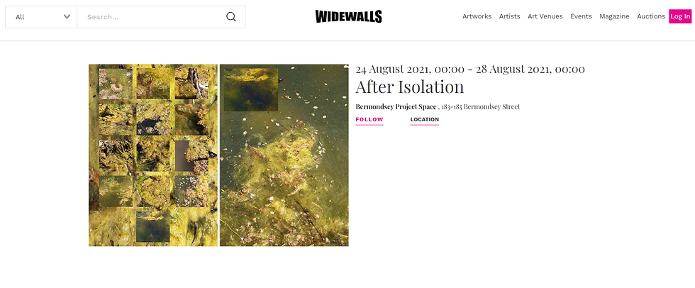 Widewall