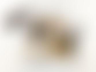 Pesci fritti: workshop ri-creativo dal recupero di materiali