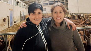 La capra canta, con degustazione di formaggi caprini giovedì 5.2. dalle 17