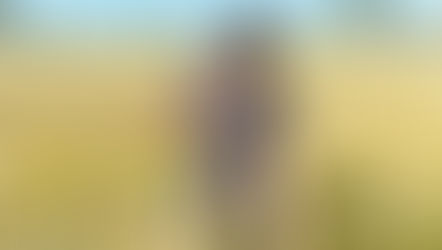 Un invito, le uova di Pasqua, l'olio evo, il riso e il pescespada nel GAS Verdessenza