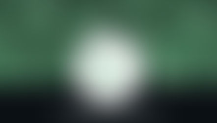 Whatsapp Business, -issimi, con avocado, mozzarelle e pesci nel GAS Verdessenza