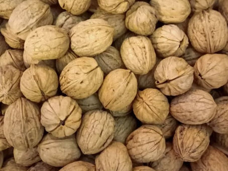 Si torna in cucina, e poi pesci, bovini, noci, mandorle e cassette a sorpresa nel GAS Verdessenza