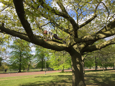 Glorious Greenwich