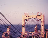 Leaving the sun, Fortaleza and seagulls behind. Heading to the Canary Islands, Atlantic crossing, NM Olinda’s bridge, Aliança Navegação, 1988