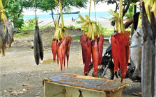 A day’s catch. Fish for sale, Dile, East Timor, 2012