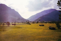 16. Saalach Valley. Pinzgau, Salzburger Land, Austria, 1990