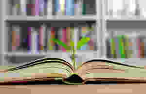 數學補習讀書方法