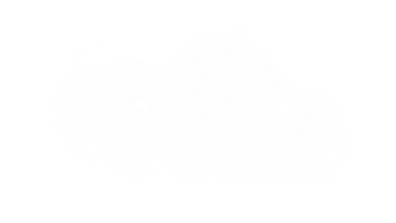 NEW SITE (12).png