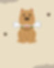 Brown Playful Dog Pet Instagram Post_edited.jpg