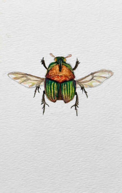painting of shiny green and orange beetle