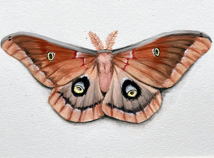 painting of a large brown moth with eyespots