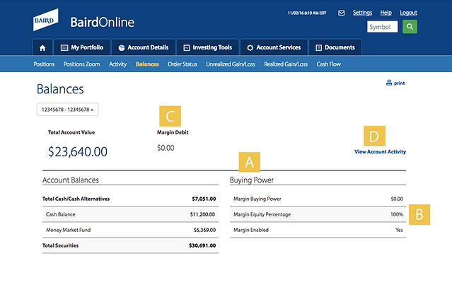 Baird Online Balances Screenshot Example