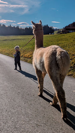 PXL_20251115_121054964~2