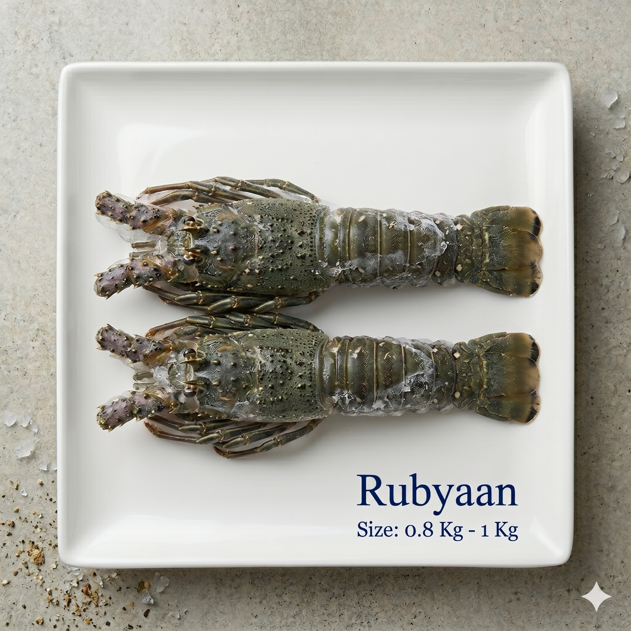 Lobster Whole IQF  ( Large ) 0.8 Kg to 1 Kg