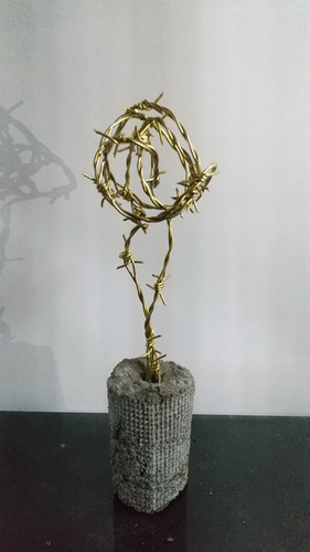 伝道サボテン | 島六新太 studio 